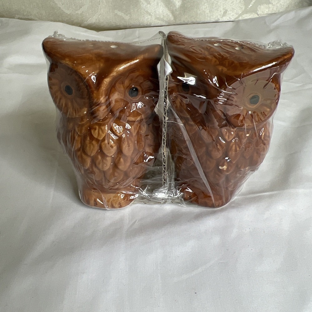Retro Owl Brown Ceramic Salt and Pepper Shakers, 2-ct. Pack Owl 3"